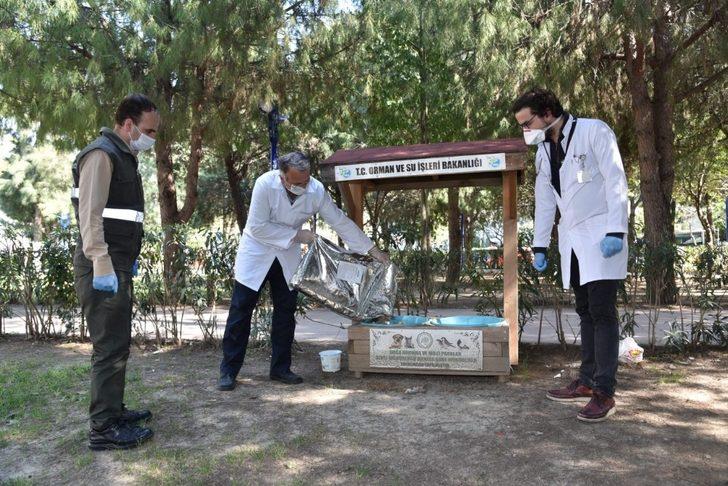 Manisa’da sokak hayvanları unutulmadı G5