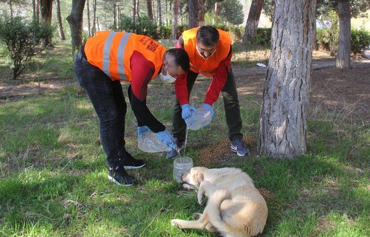 Havza Belediyesi görev başında G5