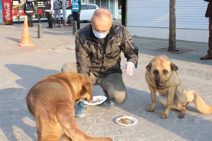 Sakarya İl Emniyet Müdürü Kaya, sokak hayvanlarını besledi G1