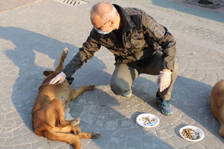 Sakarya İl Emniyet Müdürü Kaya, sokak hayvanlarını besledi G2