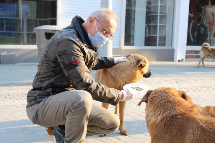 Sakarya İl Emniyet Müdürü Kaya, sokak hayvanlarını besledi G3