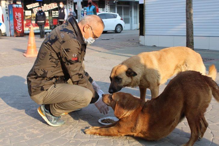 Sakarya İl Emniyet Müdürü Kaya, sokak hayvanlarını besledi G4
