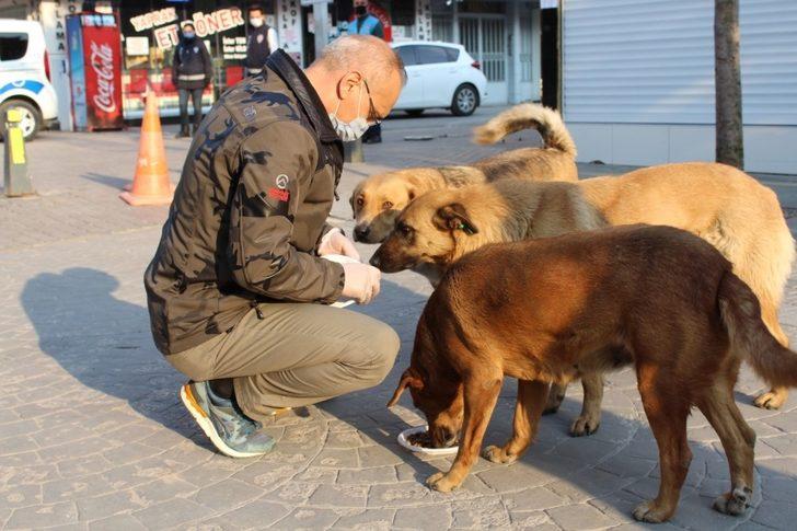 Sakarya İl Emniyet Müdürü Kaya, sokak hayvanlarını besledi G5