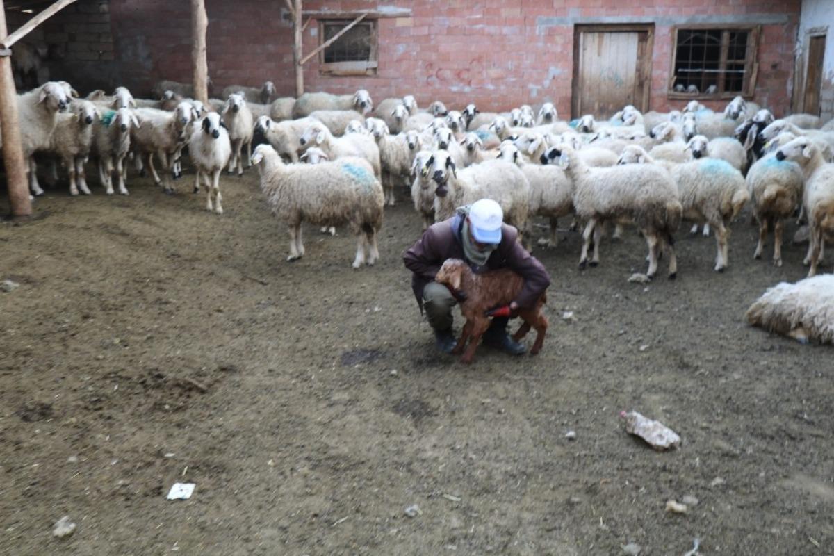 Sağlık Bakanı Fahrettin Koca'ya şiir yazdı, sosyal medyayı salladı
