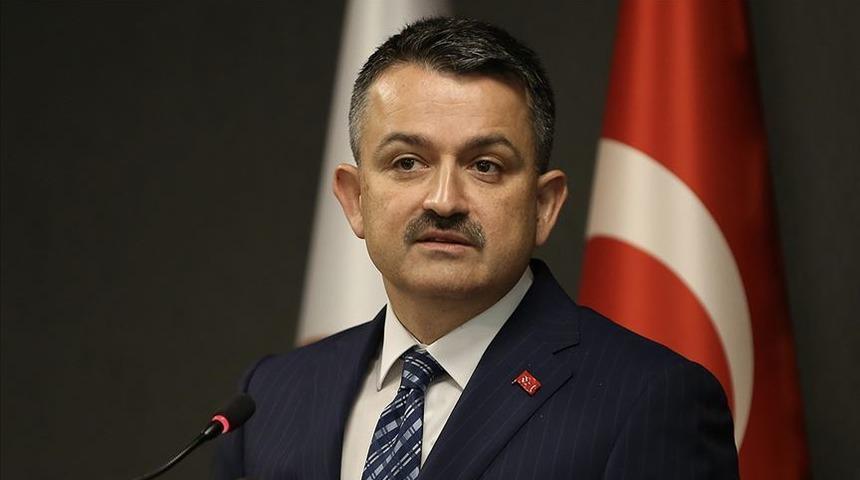 Bakan Pakdemirli duyurdu! Haziran ayında başlıyor