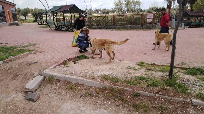 Sokak hayvanları unutulmadı