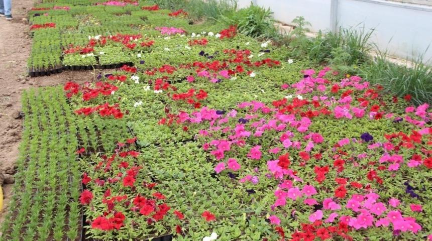 Iğdır&rsquo;da şehitlikler &ccedil;i&ccedil;eklerle s&uuml;sleniyor