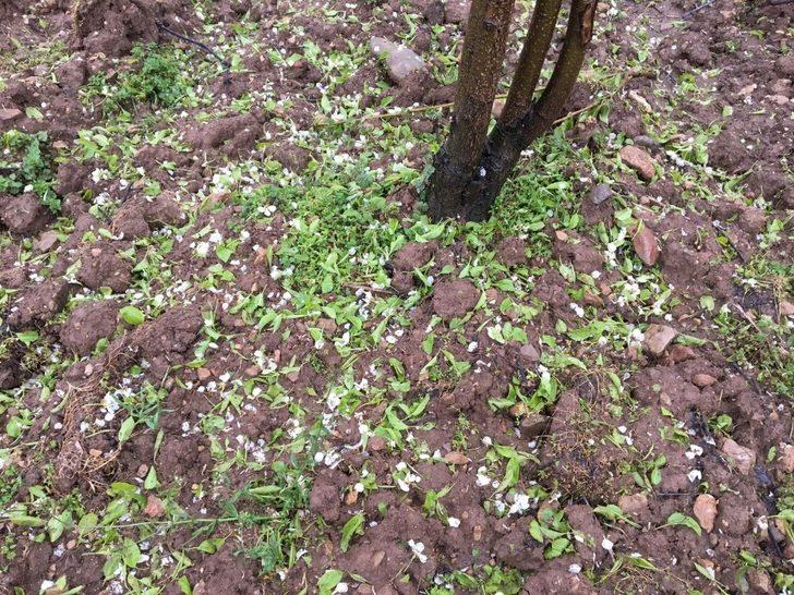 Gercüş’te ceviz büyüklüğünde dolu yağdı G3