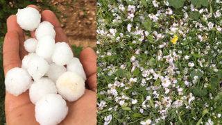 Ceviz büyüklüğünde yağdı, her yer beyaza büründü