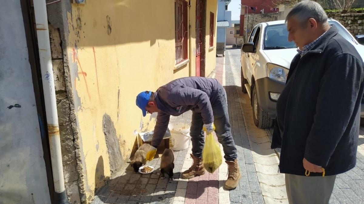Gerc&uuml;ş&rsquo;te sokak hayvanları i&ccedil;in mama ve su bırakıldı