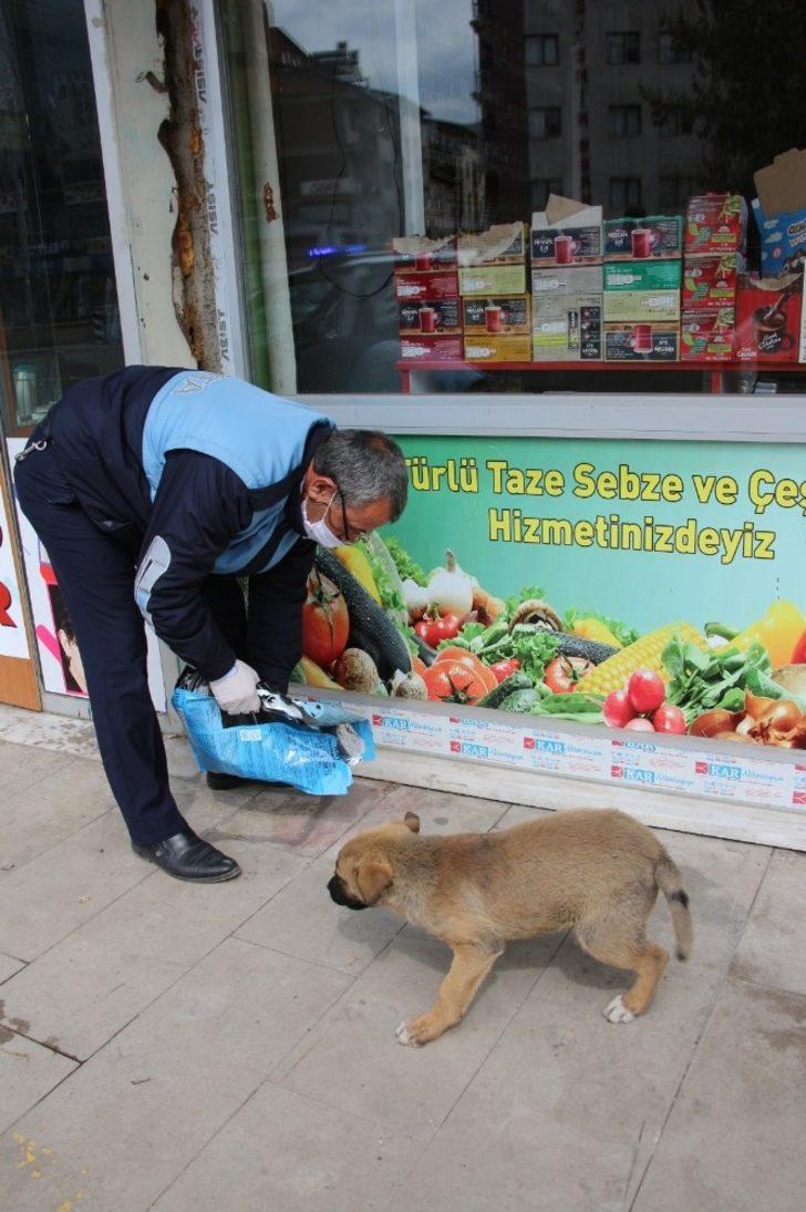 Oltu Zabıta Ekiplerinden örnek davranış G3