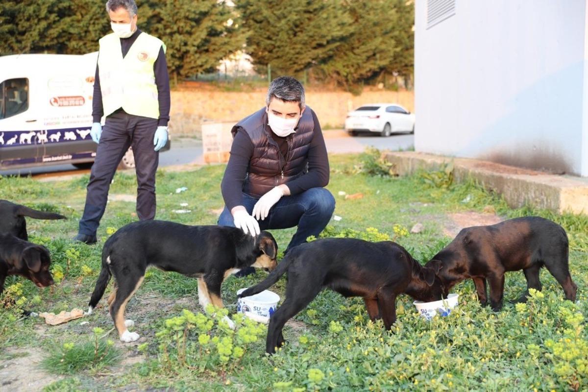 Başkan G&ouml;khan Y&uuml;ksel sokak hayvanları i&ccedil;in mama dağıttı