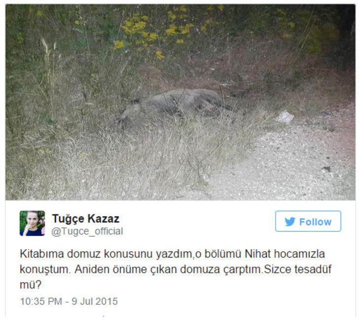 Tuğçe Kazaz domuz öldürüp resmini paylaştı G1