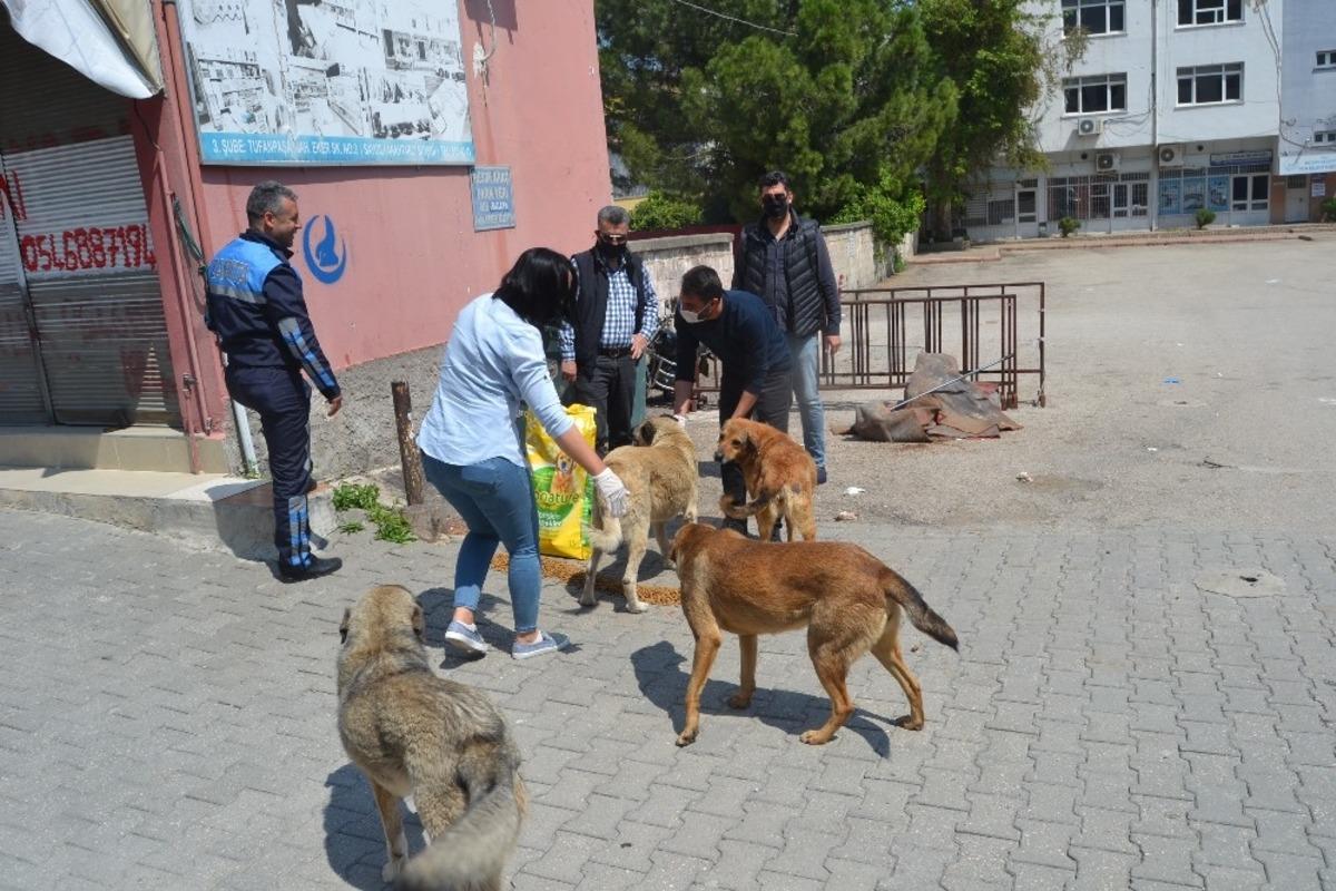 Boş sokakların keyfini &ccedil;ıkarıyorlar