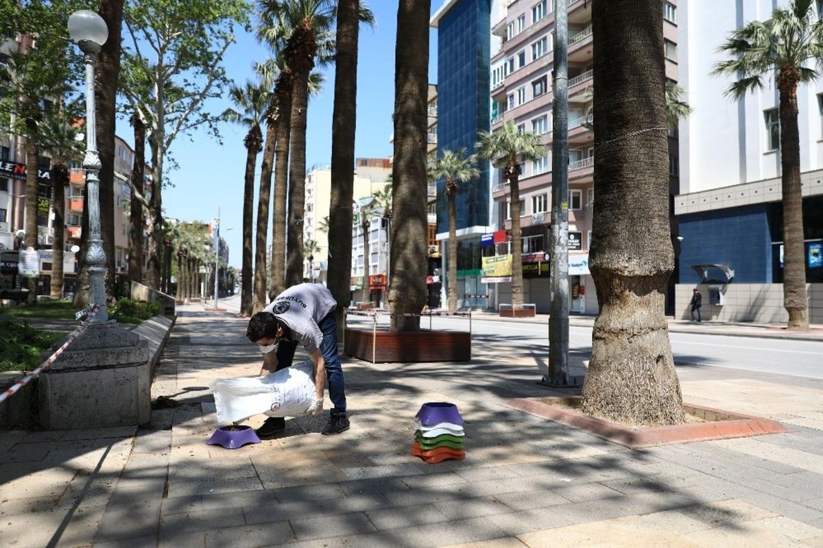 B&uuml;y&uuml;kşehir belediyesi sokak hayvanlarını unutmadı