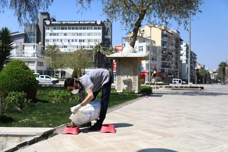 Büyükşehir belediyesi sokak hayvanlarını unutmadı G2