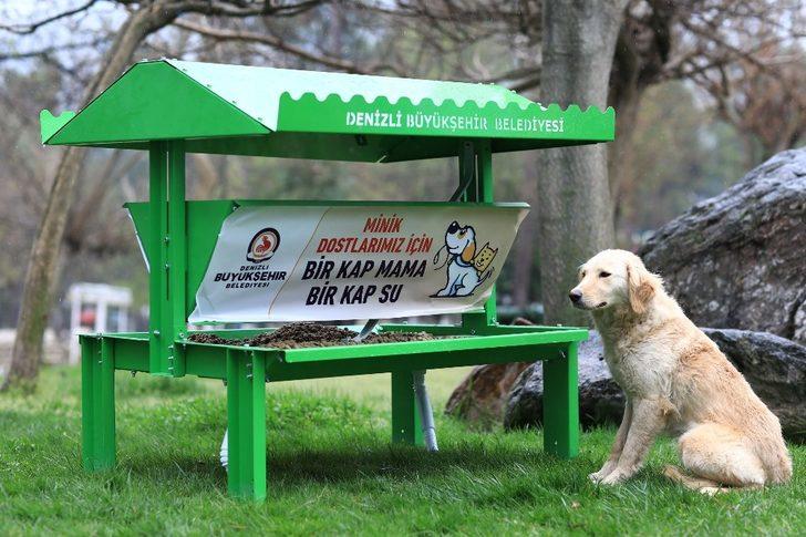 Büyükşehir belediyesi sokak hayvanlarını unutmadı G3