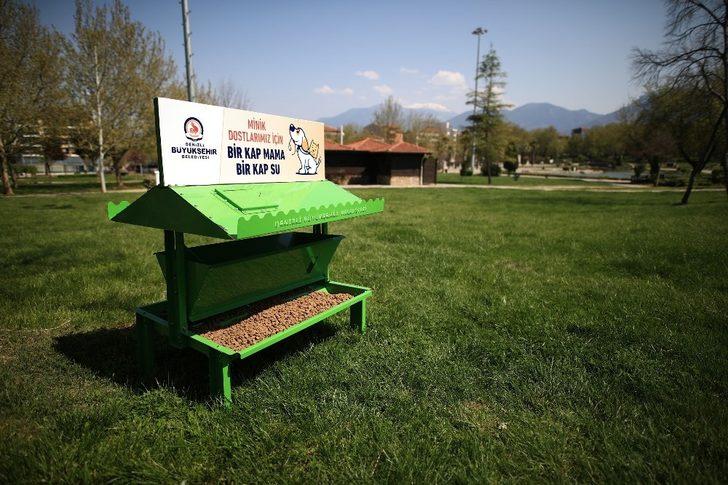 Büyükşehir belediyesi sokak hayvanlarını unutmadı G5