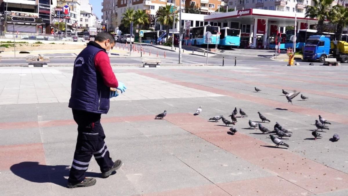 &Ccedil;ekmek&ouml;y Belediyesi ekipleri kuşları ve sokak hayvanlarını besledi