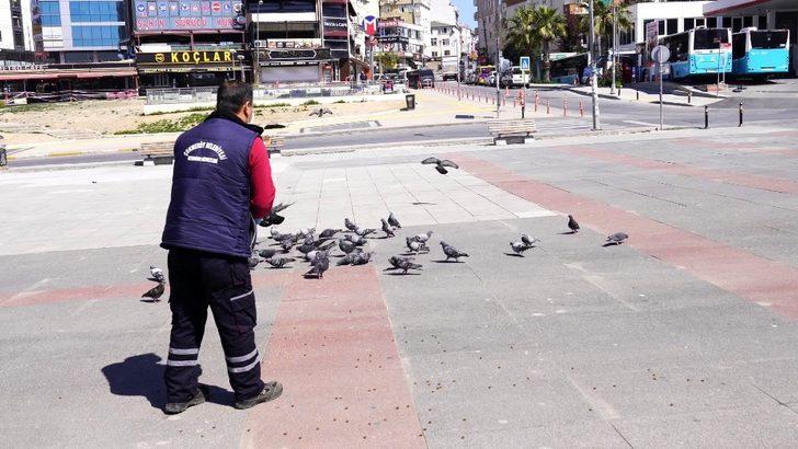 Çekmeköy Belediyesi ekipleri kuşları ve sokak hayvanlarını besledi G2