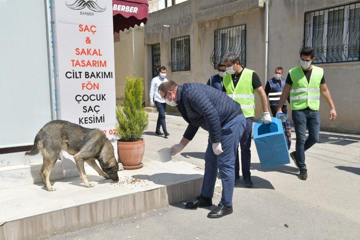 Başkan Gümrükçü, önce vatandaşlara ekmek, sonra hayvanlara mama dağıttı G3