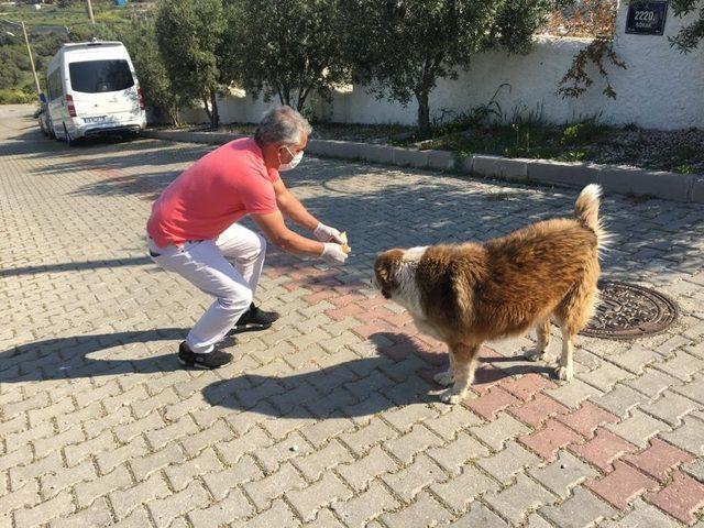 Çeşme’de vatandaşların ekmek ihtiyacını bir hayırsever karşıladı