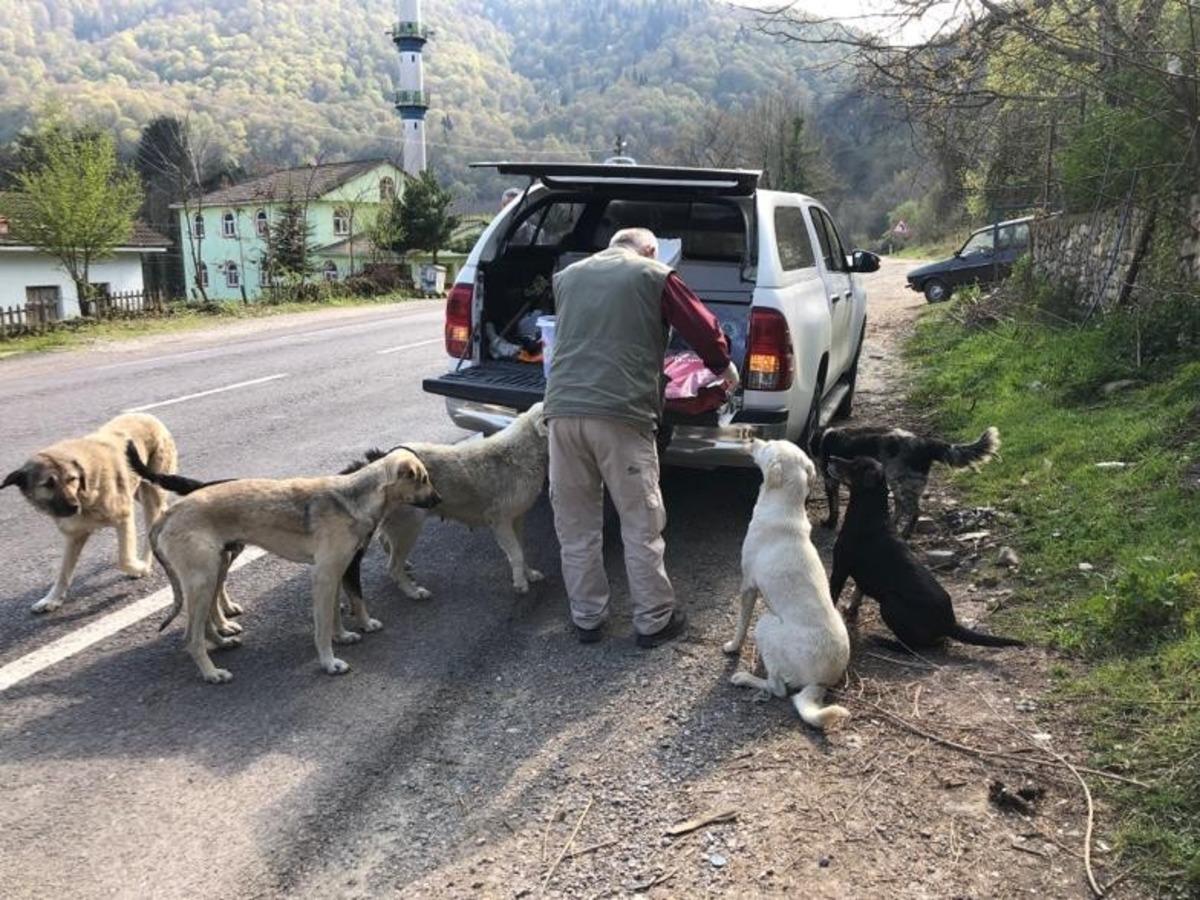Doğaya yem ve su bırakıldı