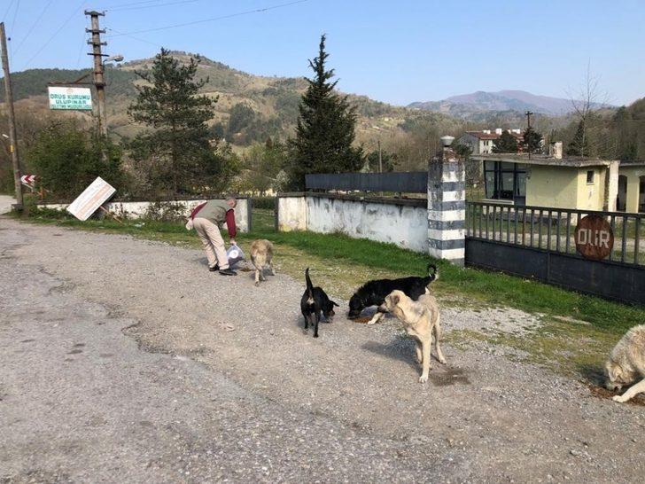 Doğaya yem ve su bırakıldı G2