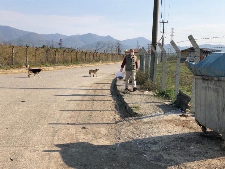 Doğaya yem ve su bırakıldı G3