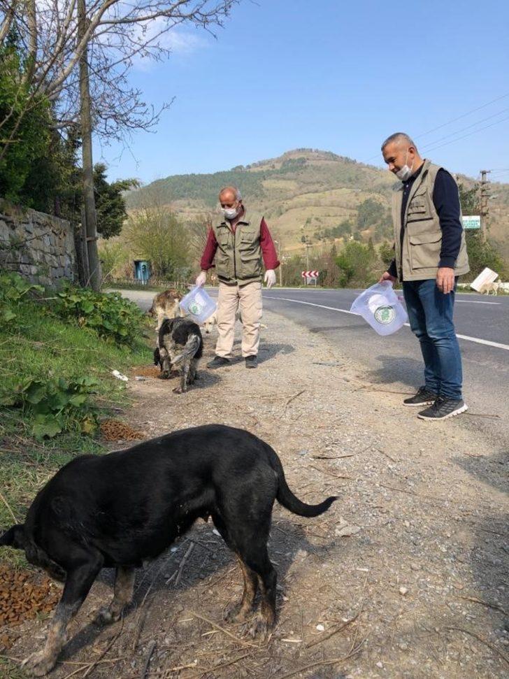 Doğaya yem ve su bırakıldı G4