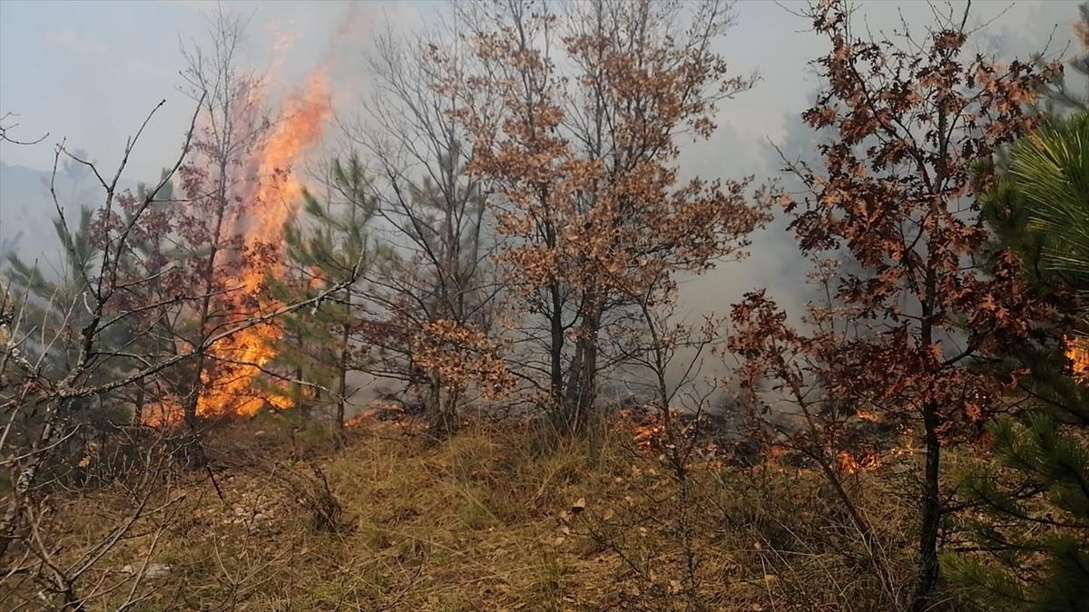 K&uuml;tahya'da orman yangınında 2 hektar alan zarar g&ouml;rd&uuml;