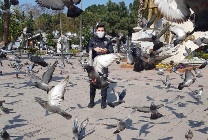 Şehrin kahramanları sokak hayvanlarını unutmadı G1