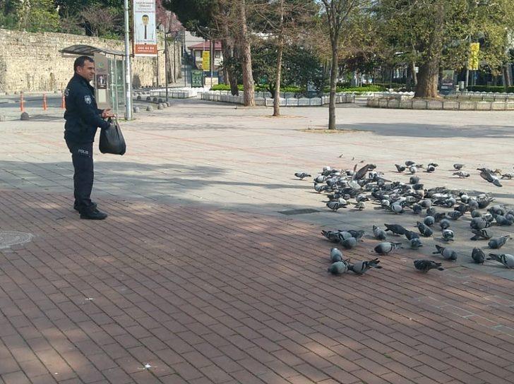 Şehrin kahramanları sokak hayvanlarını unutmadı G3