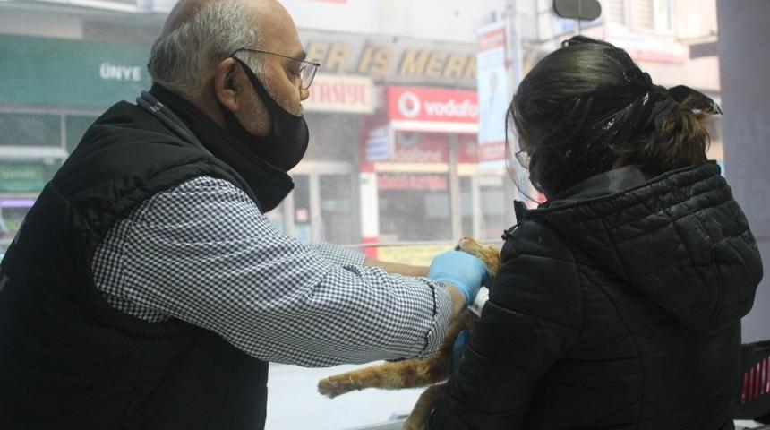 Kapısına gelen kedi için sokağa çıktı