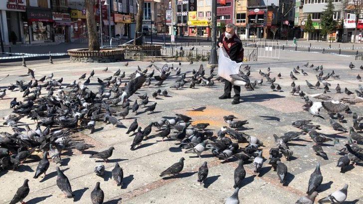 Meydanları mesken tutan güvercinleri polisler besledi G1