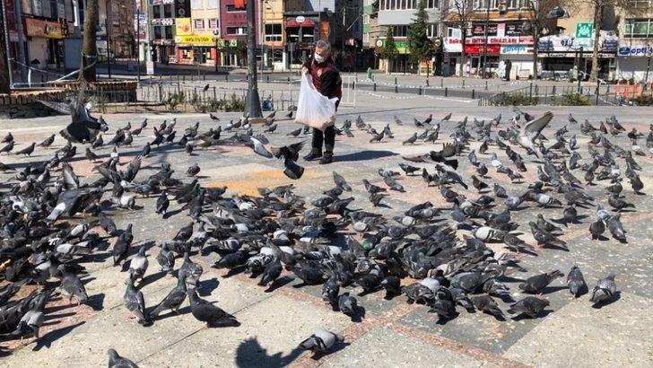 Meydanları mesken tutan güvercinleri polisler besledi G4