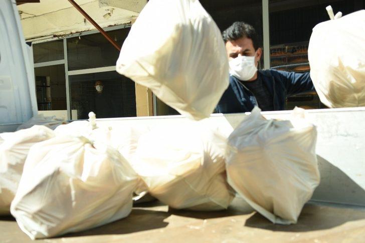 Elleriyle sokak hayvanlarını beslediler G4