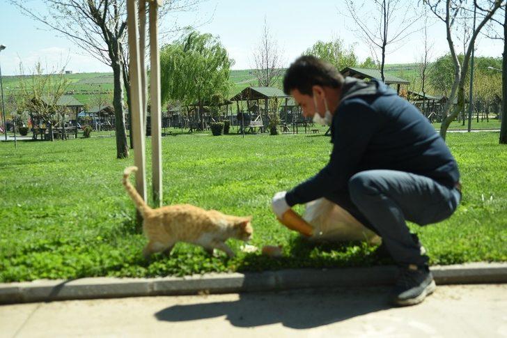 Elleriyle sokak hayvanlarını beslediler G5