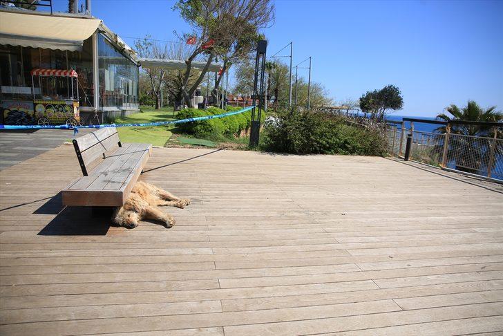 İlçe halkı balkonlardan hep birlikte şarkı söyledi G5