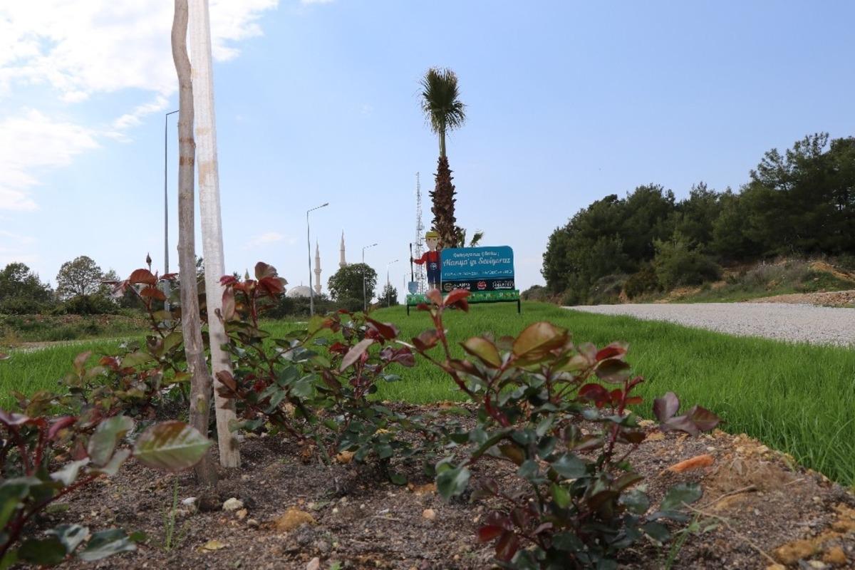 Daha yeşil bir Alanya i&ccedil;in &ccedil;alışmalar s&uuml;r&uuml;yor