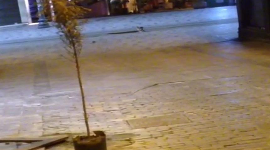 (&Ouml;zel) Taksim&rsquo;de yasak sonrası Tom Jerry &ccedil;izgi film ger&ccedil;ek oldu