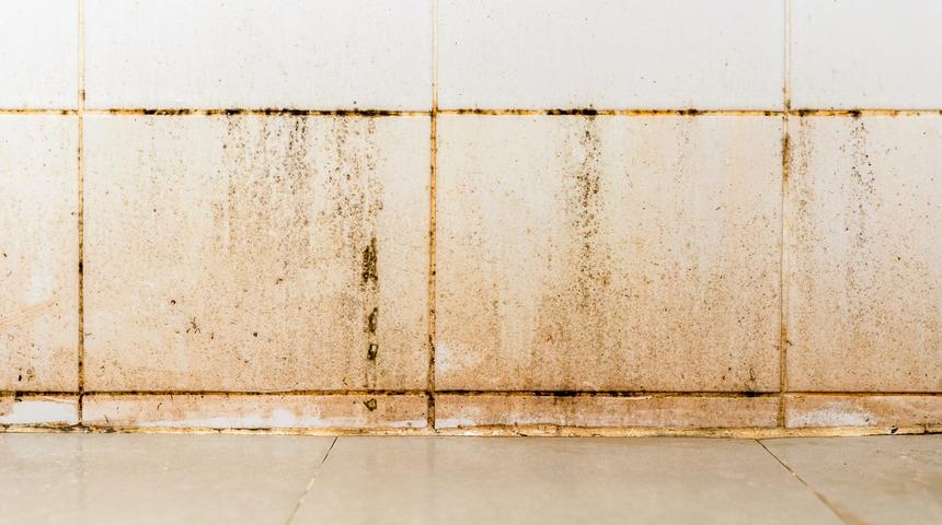 Bu y&ouml;ntemlerle banyo ve mutfaktaki fayans araları tertemiz olacak! 