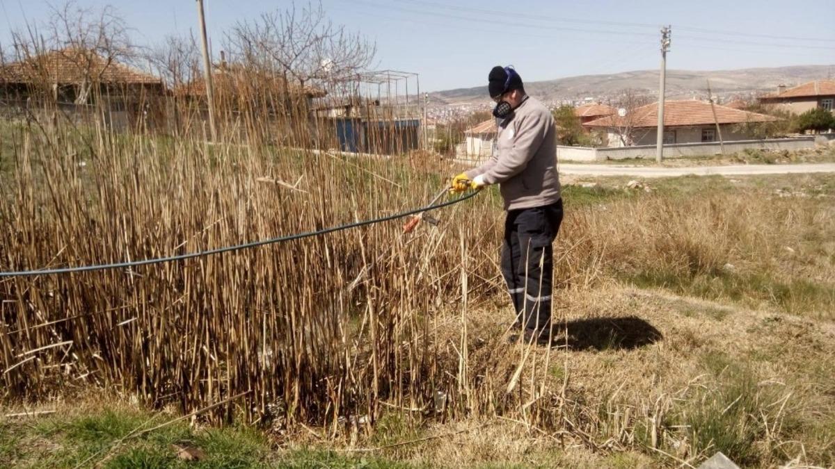 Larvalara karşılık m&uuml;cadele başlatıldı