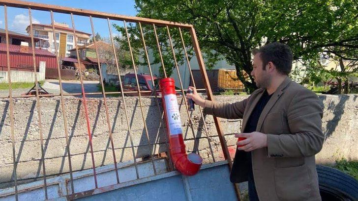 Sokak hayvanları unutulmadı G1