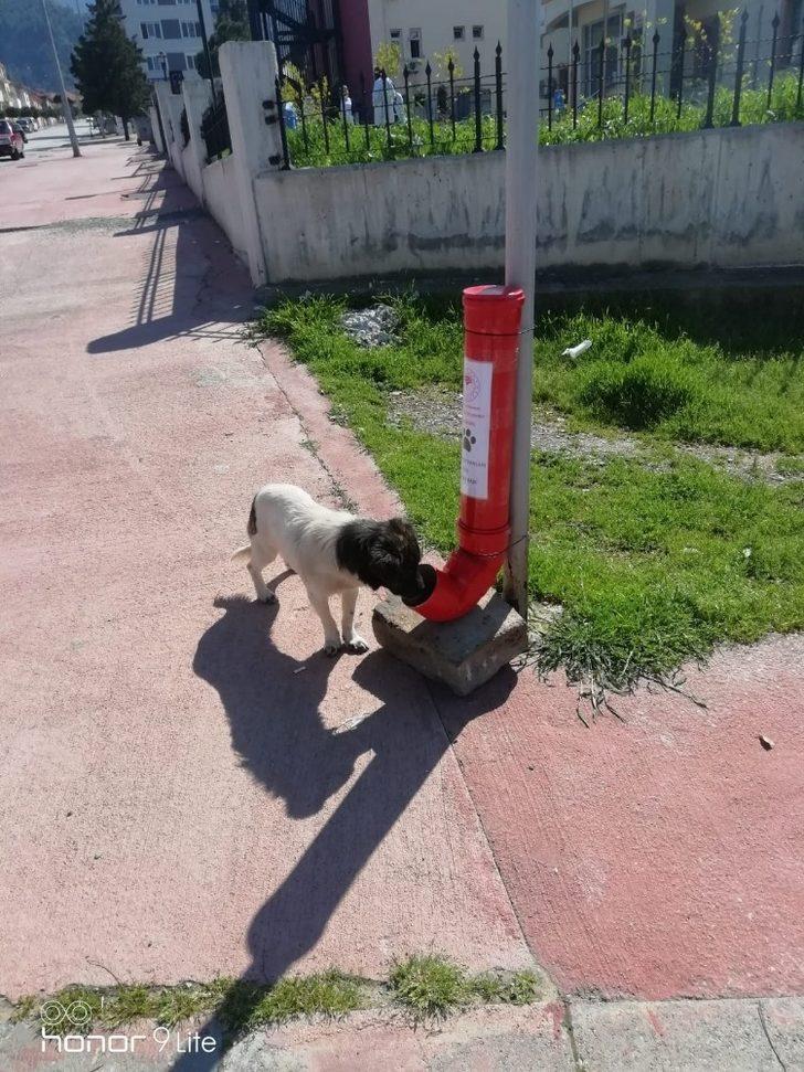 Sokak hayvanları unutulmadı G3