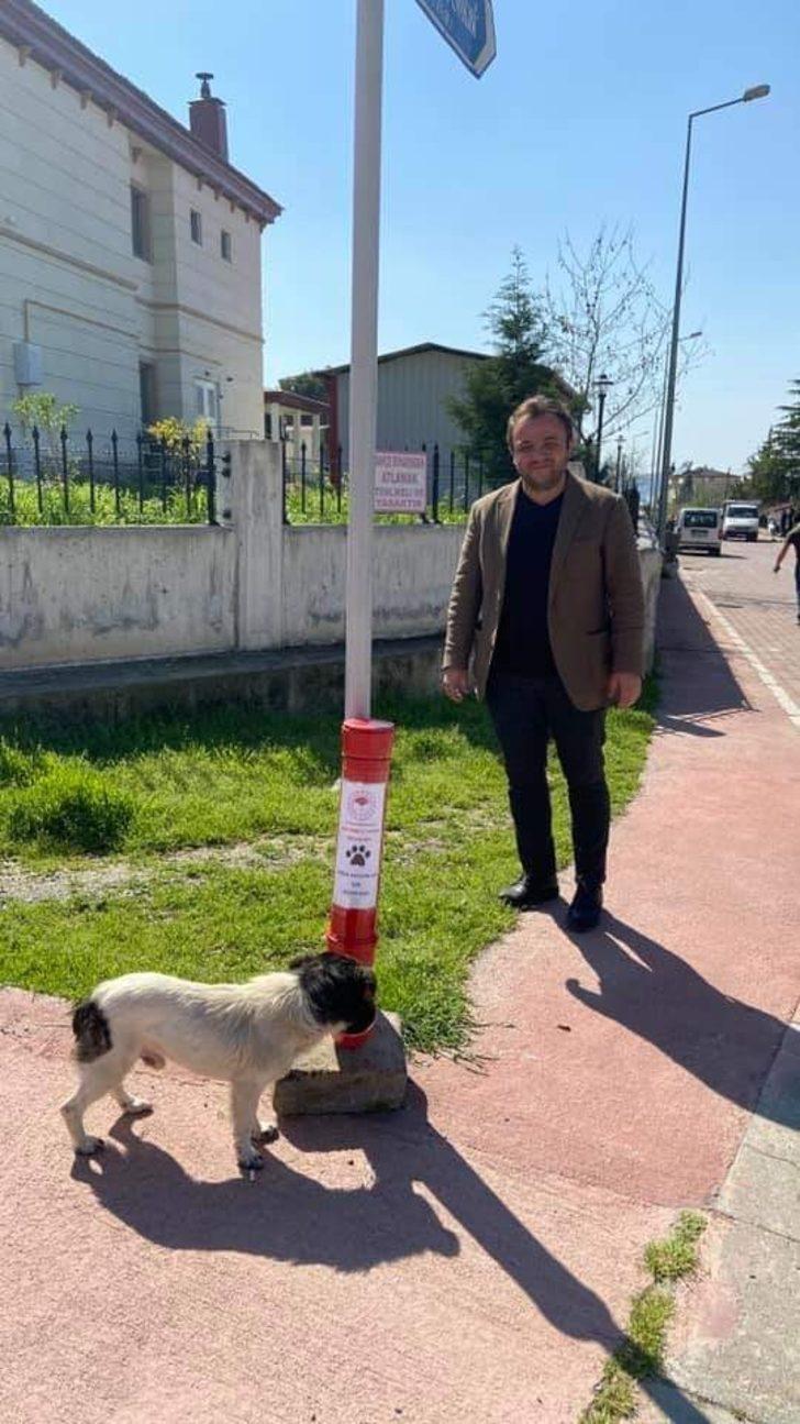 Sokak hayvanları unutulmadı G4