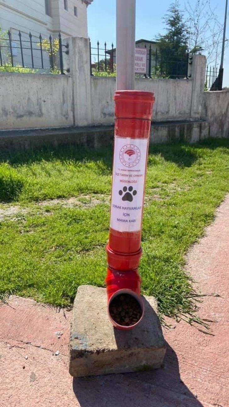 Sokak hayvanları unutulmadı G5