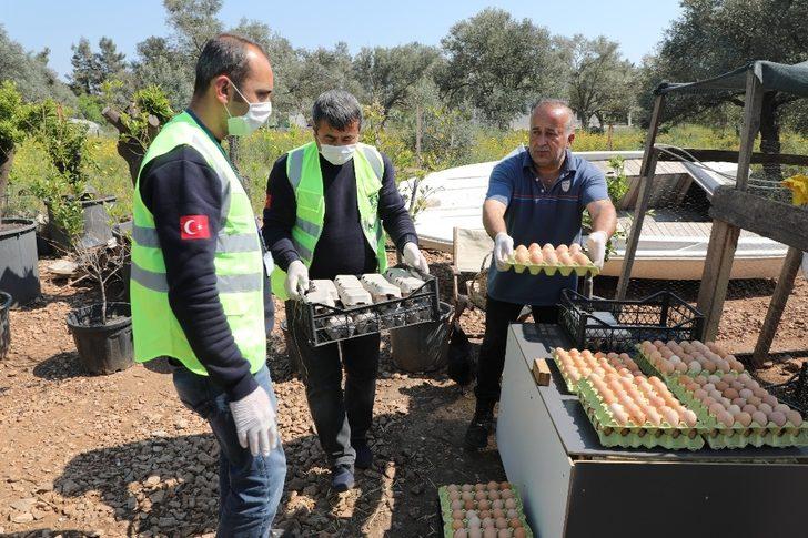 5 bin yumurtayı ücretsiz dağıttı G1