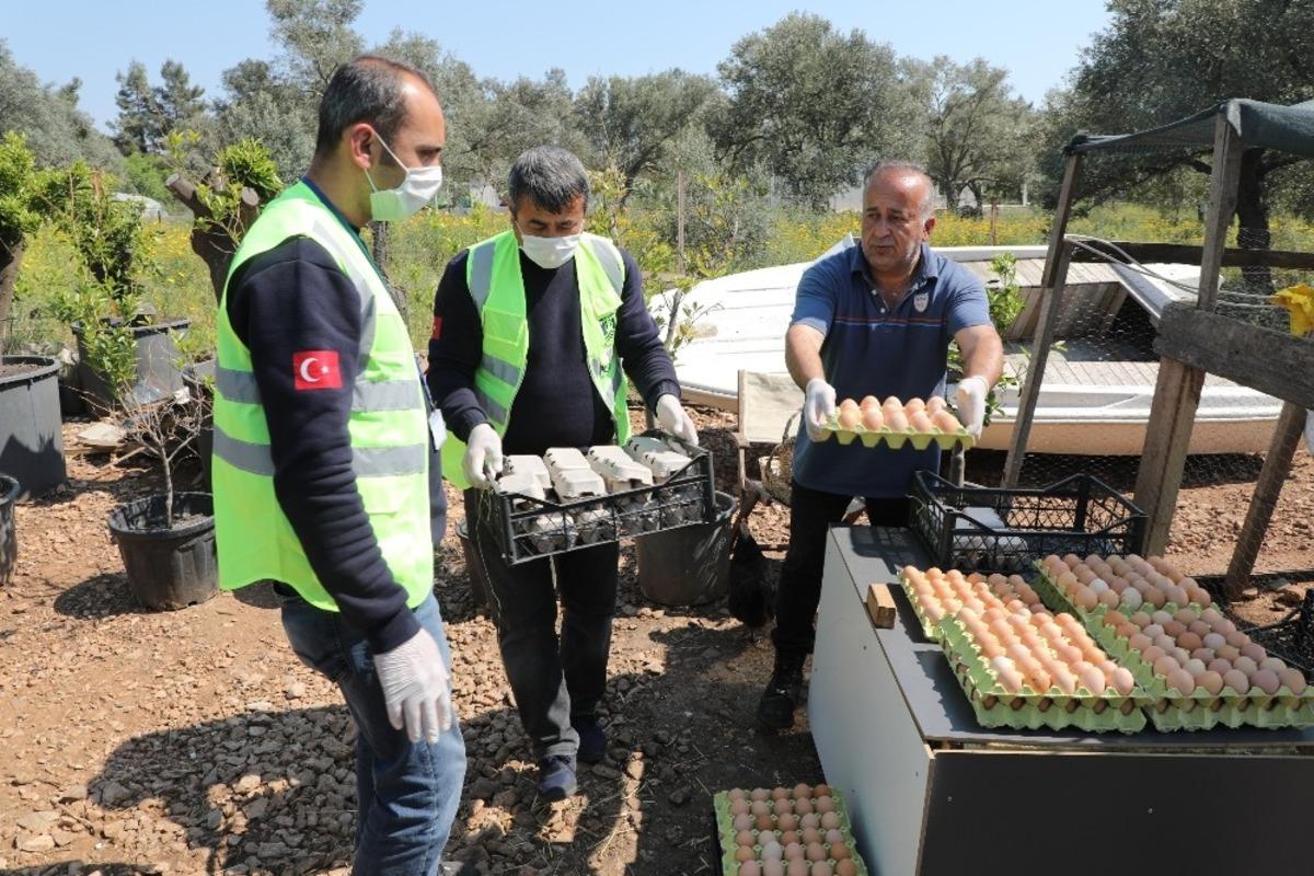 5 bin yumurtayı &uuml;cretsiz dağıttı