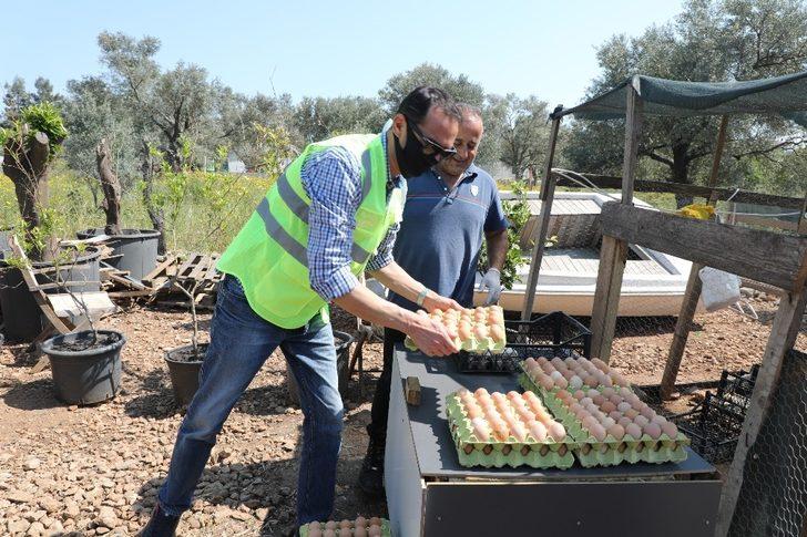 5 bin yumurtayı ücretsiz dağıttı G2